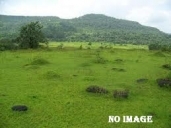 Residential Land