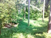 Residential Land