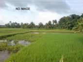 Residential Land