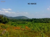 Residential Land