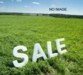 Agriculural Land