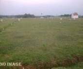 Commercial Land