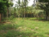 Commercial Land