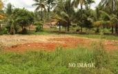 Residential Land