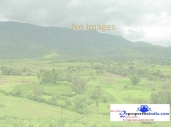 Agriculture Land