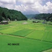 Residential Land