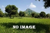 Residential Land